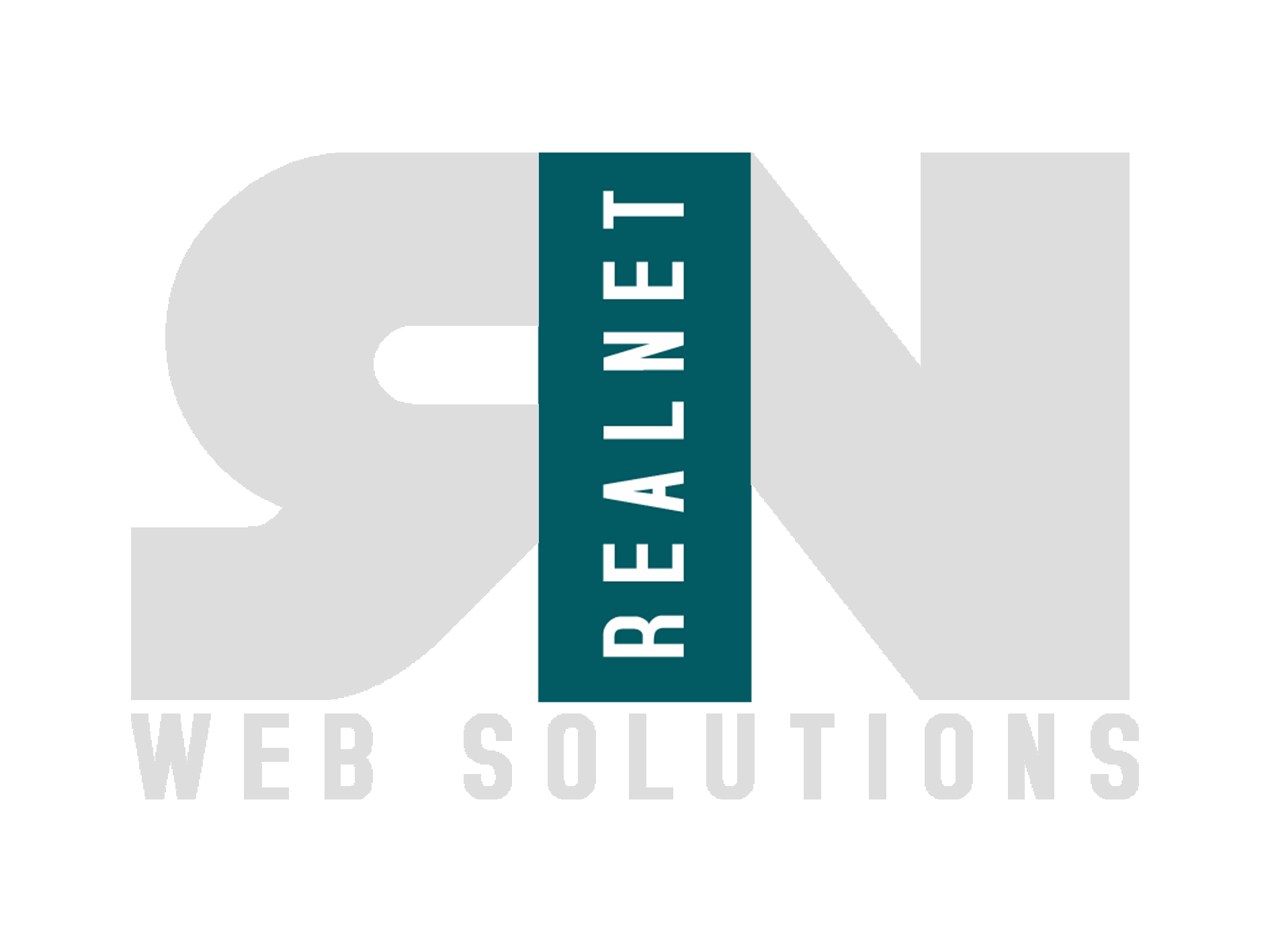 REALNET SYSTEM logo