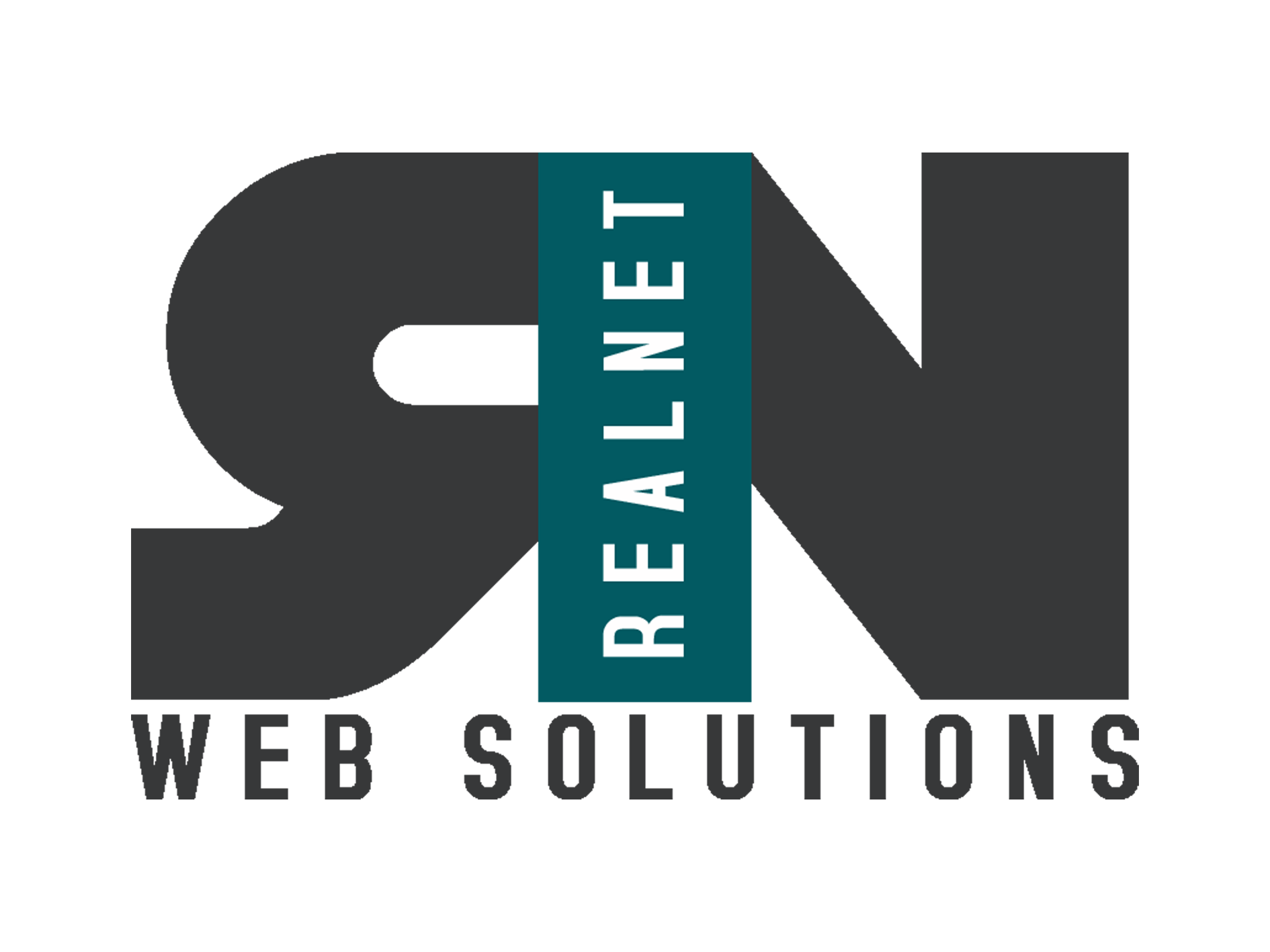 REALNET SYSTEM logo